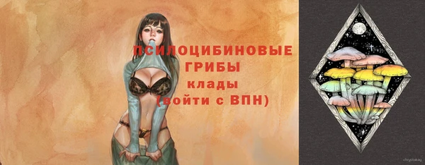 spice Армянск