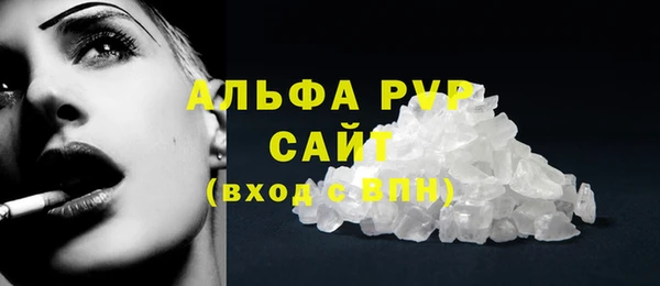 стафф Аркадак