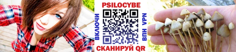 Галлюциногенные грибы Psilocybe  Белёв 